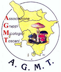 XXV Comitato Scientifico autunnale AGMT